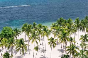 Hyatt Vivid Punta Cana - Punta Cana – Hyatt Vivid Punta Cana All Inclusive Resort 